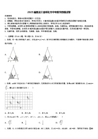 2025届黑龙江省绥化市中考数学四模试卷含解析