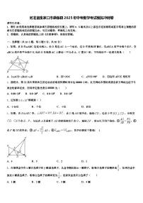 河北省张家口市康保县2025年中考数学考试模拟冲刺卷含解析