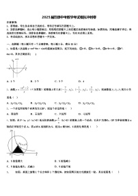 2025届范县中考数学考试模拟冲刺卷含解析
