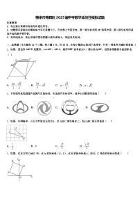 梅州市梅县区2025届中考数学适应性模拟试题含解析