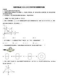 鸡西市恒山区2024-2025学年中考冲刺卷数学试题含解析