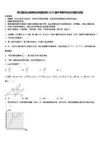 四川省凉山彝族自治州雷波县2025届中考数学适应性模拟试题含解析