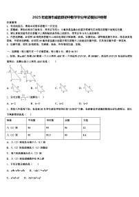 2025年昭通市威信县初中数学毕业考试模拟冲刺卷含解析