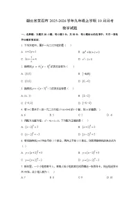 湖北省黄石市2025-2026学年九年级上学期10月月考数学试卷（学生版）