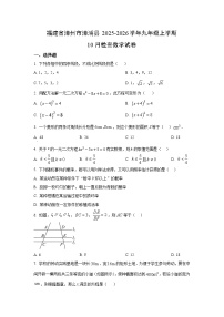 福建省漳州市漳浦县2025-2026学年九年级上学期10月检查数学试卷（学生版）