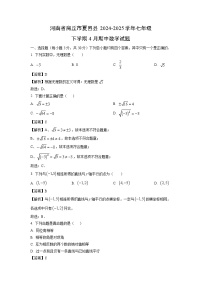 河南省商丘市夏邑县2024-2025学年七年级下学期4月期中数学试卷（解析版）