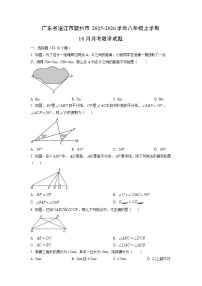广东省湛江市雷州市2025-2026学年八年级上学期10月月考数学试卷（学生版）