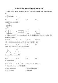2025年山东省济南市中考数学模拟练习卷-自定义类型