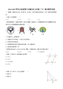 2024-2025学年山西省晋中市榆次区七年级（下）期末数学试卷-自定义类型