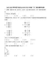 2024-2025学年四川省乐山市市中区七年级（下）期末数学试卷-自定义类型