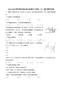2024-2025学年湖北省宜昌市宜都市七年级（下）期中数学试卷-自定义类型