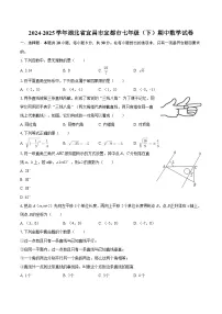 2024-2025学年湖北省宜昌市宜都市七年级（下）期中数学试卷-自定义类型
