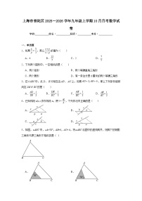 2025-2026学年上海市普陀区九年级上学期10月月考数学试题