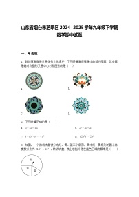 山东省烟台市芝罘区2024- 2025学年九年级下学期数学期中试题（含答案解析）