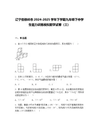辽宁省铁岭市2024-2025学年下学期九年级下中学生能力训练模拟数学试卷（三）（含答案解析）