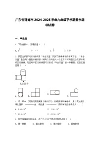 广东省珠海市2024-2025学年九年级下学期数学期中试卷（含答案解析）
