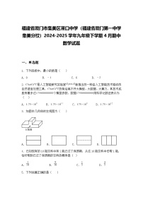 福建省厦门市集美区灌口中学（福建省厦门第一中学集美分校）2024-2025学年九年级下学期4月期中数学试题（含答案解析）