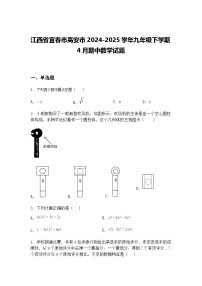 江西省宜春市高安市2024-2025学年九年级下学期4月期中数学试题（含答案解析）