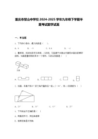 重庆市璧山中学校2024-2025学年九年级下学期半期考试数学试题（含答案解析）