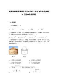 湖南省娄底市涟源市2024-2025学年九年级下学期4月期中数学试题（含答案解析）