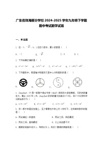 广东省珠海部分学校2024-2025学年九年级下学期期中考试数学试题（含答案解析）