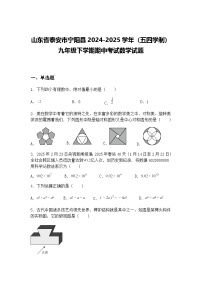 山东省泰安市宁阳县2024-2025学年（五四学制）九年级下学期期中考试数学试题（含答案解析）
