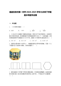 福建省泉州第一中学2024-2025学年九年级下学期期中考数学试卷（含答案解析）