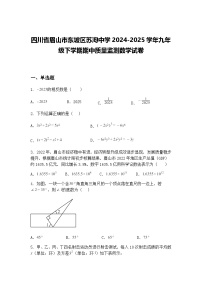 四川省眉山市东坡区苏洵中学2024-2025学年九年级下学期期中质量监测数学试卷（含答案解析）