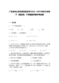 广东省中山市华辰实验中学2024--2025学年九年级下（课改班）下学期数学期中考试卷（含答案解析）