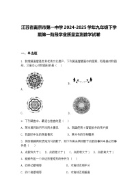 江苏省南京市第一中学2024-2025学年九年级下学期第一阶段学业质量监测数学试卷（含答案解析）