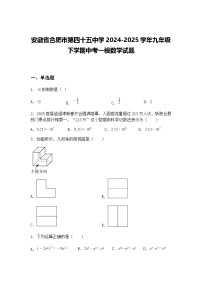 安徽省合肥市第四十五中学2024-2025学年九年级下学期中考一模数学试题（含答案解析）