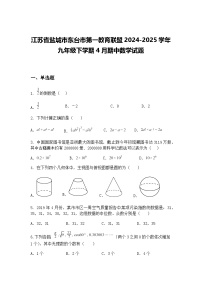 江苏省盐城市东台市第一教育联盟2024-2025学年九年级下学期4月期中数学试题（含答案解析）