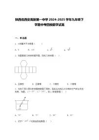 陕西省西安高新第一中学2024-2025学年九年级下学期中考四模数学试题（含答案解析）