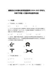 湖南省长沙市雅礼教育集团联考2024-2025学年九年级下学期4月期中考试数学试题（含答案解析）
