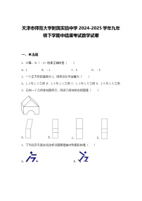 天津市师范大学附属实验中学2024-2025学年九年级下学期中结课考试数学试卷（含答案解析）