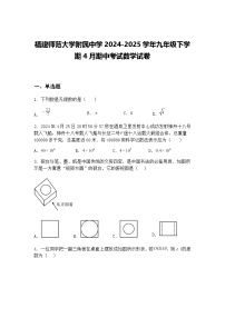 福建师范大学附属中学2024-2025学年九年级下学期4月期中考试数学试卷（含答案解析）