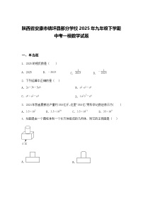 陕西省安康市镇坪县部分学校2025年九年级下学期中考一模数学试题（含答案解析）