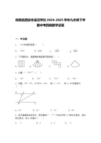 陕西省西安市滨河学校2024-2025学年九年级下学期中考四模数学试题（含答案解析）