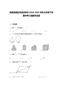 陕西省西安市滨河学校2024-2025学年九年级下学期中考三模数学试题（含答案解析）