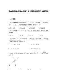 期中巩固卷-2024-2025学年苏科版数学九年级下册（含答案解析）