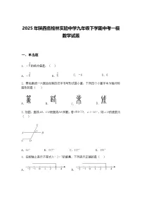 2025年陕西省榆林实验中学九年级下学期中考一模数学试题（含答案解析）