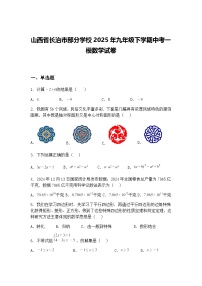 山西省长治市部分学校2025年九年级下学期中考一模数学试卷（含答案解析）
