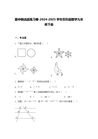 期中精选题练习卷-2024-2025学年苏科版数学九年级下册（含答案解析）