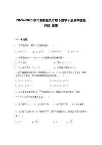 2024-2025学年湘教版九年级下数学下册期中质量评估 试卷（含答案解析）