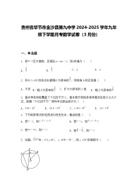 贵州省毕节市金沙县第九中学2024-2025学年九年级下学期月考数学试卷（3月份）（含答案解析）