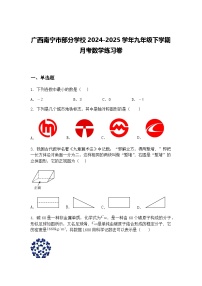 广西南宁市部分学校2024-2025学年九年级下学期月考数学练习卷（含答案解析）