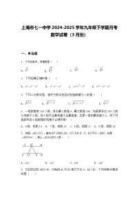 上海市七一中学2024-2025学年九年级下学期月考数学试卷（3月份）（含答案解析）