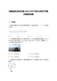河南省周口市扶沟县2024-2025学年九年级下学期月考数学试卷（含答案解析）