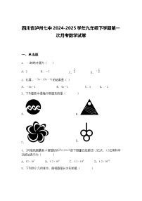 四川省泸州七中2024-2025学年九年级下学期第一次月考数学试卷（含答案解析）