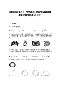 山东省青岛第六十一中学2024-2025学年九年级下学期月考数学试卷（3月份）（含答案解析）